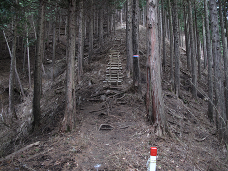 20160121hike (259)